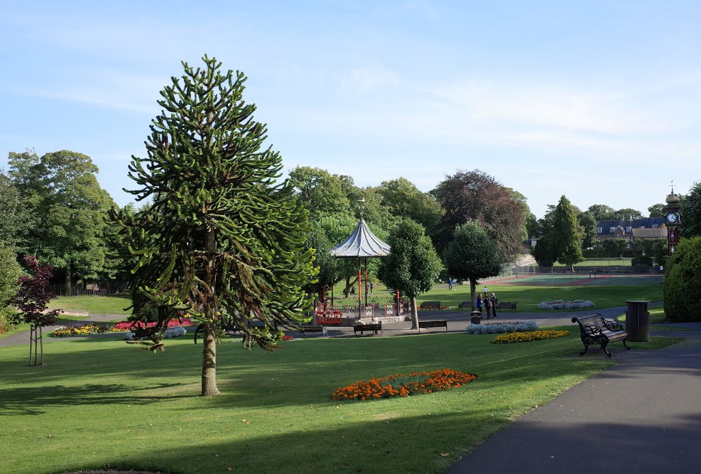 DORCHESTER BOROUGH PARK by Alan McFaden