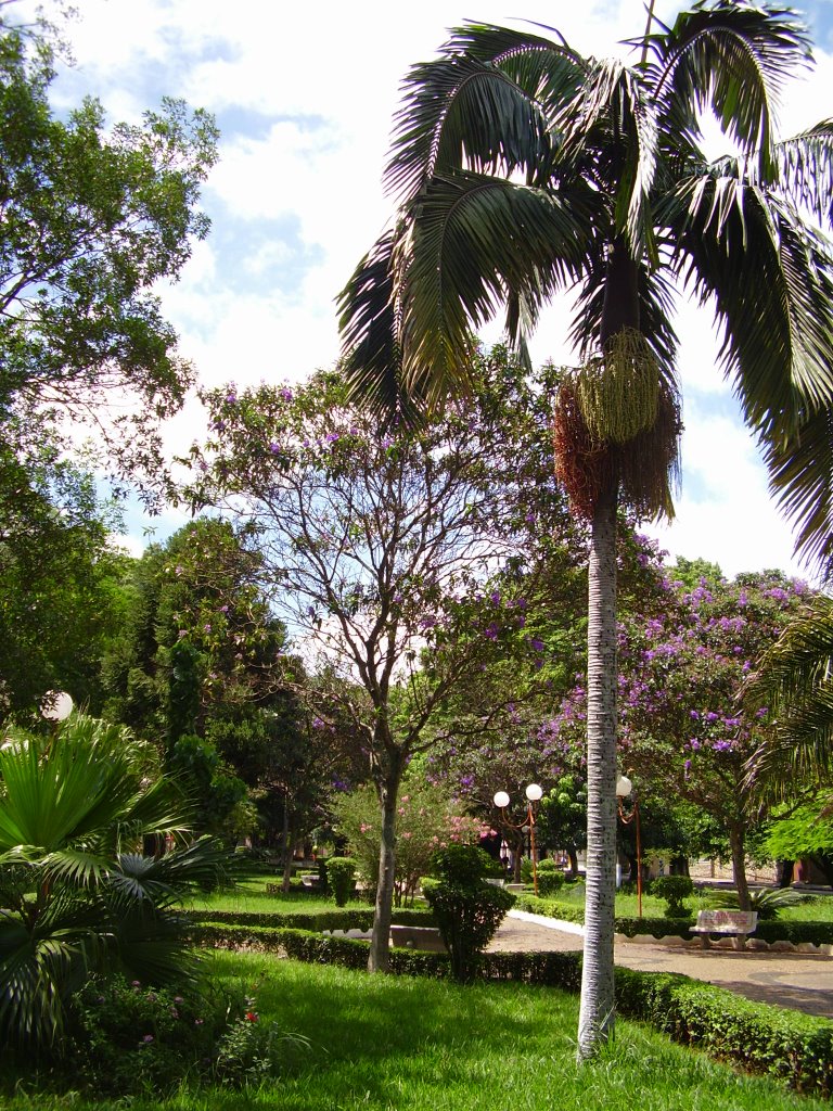 Praça Peixoto Gomide by Hermélio Moraes