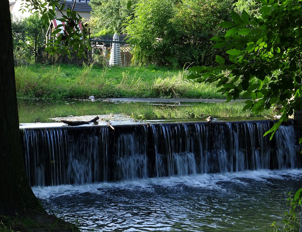 Die Niers in Mülfort, Mönchengladbach by Anne Offermanns