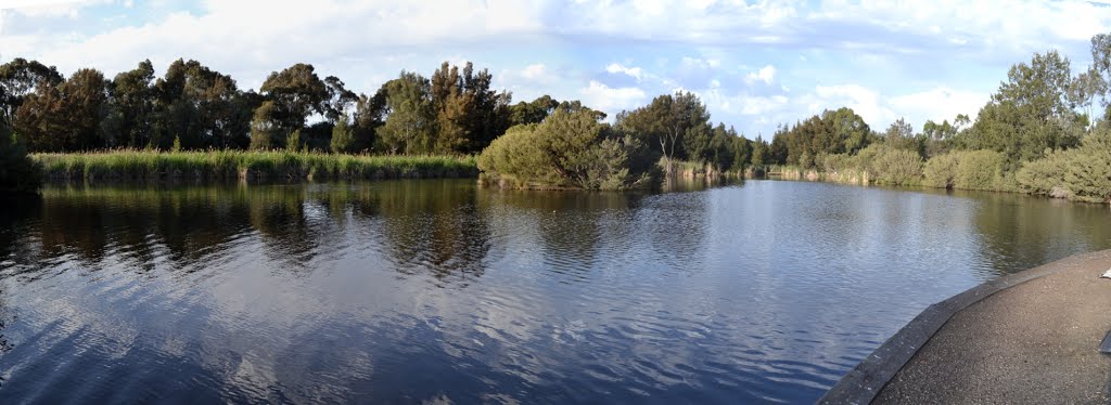 Wide view of aquatic reserve by Phaedrus Fleurieu