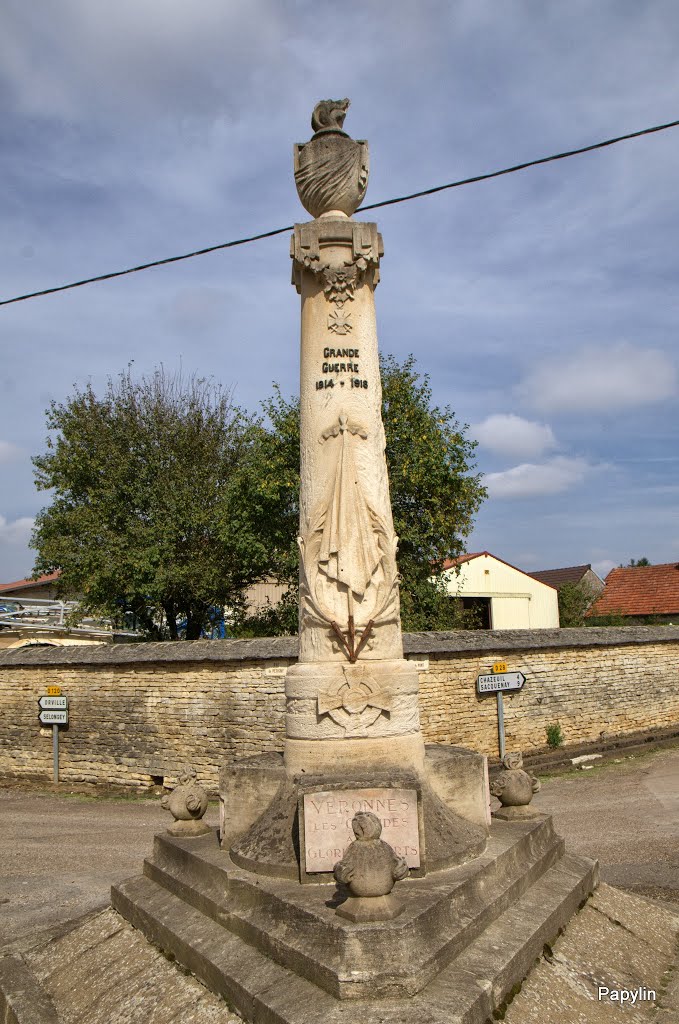 Monument(entouré de fils...) by Alain /Papylin