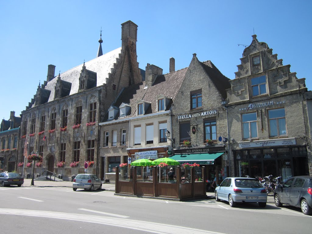 Stadhuis (town hall) on the Grote Markt (Great Market) with Netherlandish shop buildings by tristan comics