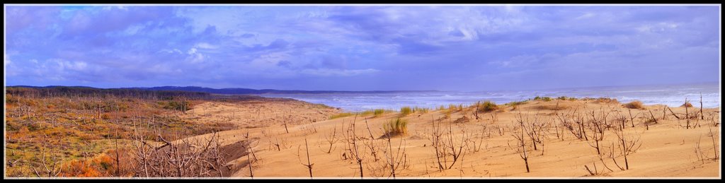 Panorama vers la pointe de Gatseau, Île d' Oléron by Foetal