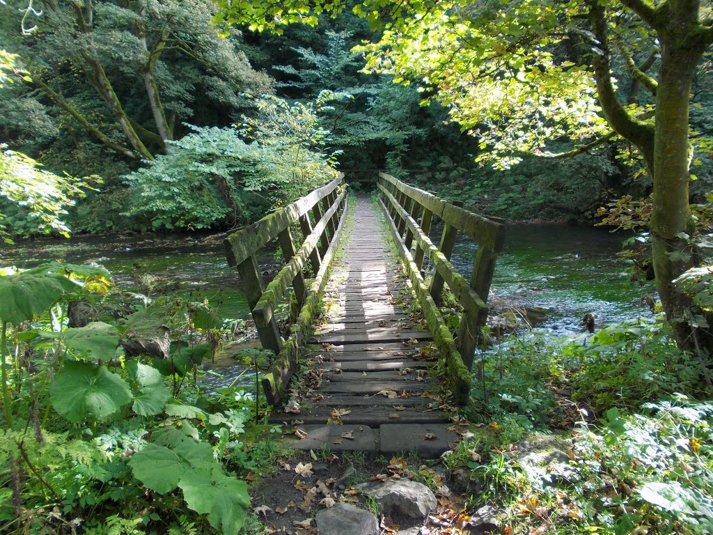 Footbridge across the River Wye in Miller's Dale by Neil in Sheffield UK