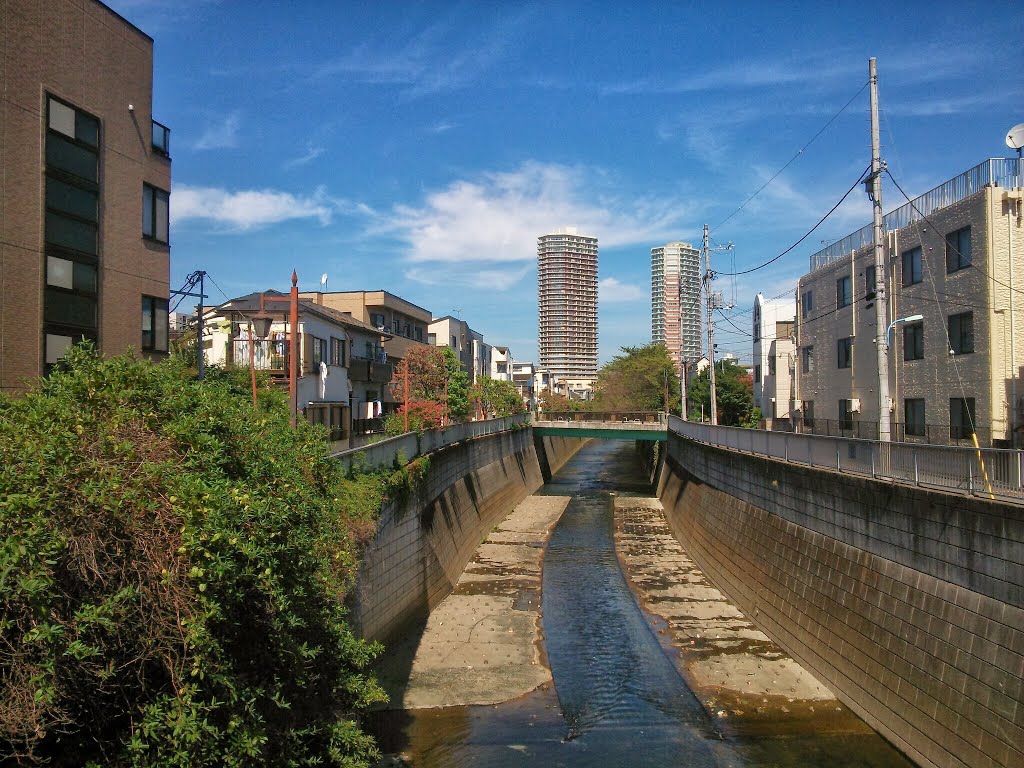 東中野 神田川 by mthr110