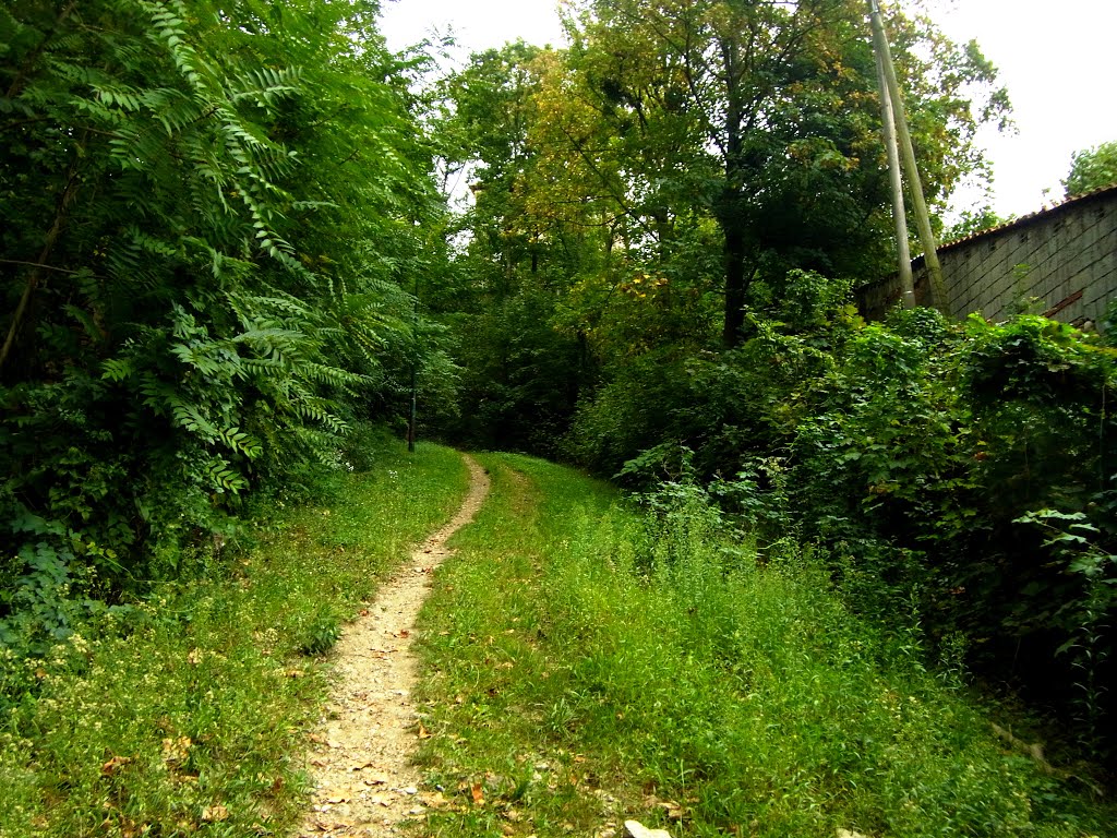 RUE DU BOIS DE LA CAILLE LYON CALUIRE by raymonddelyon