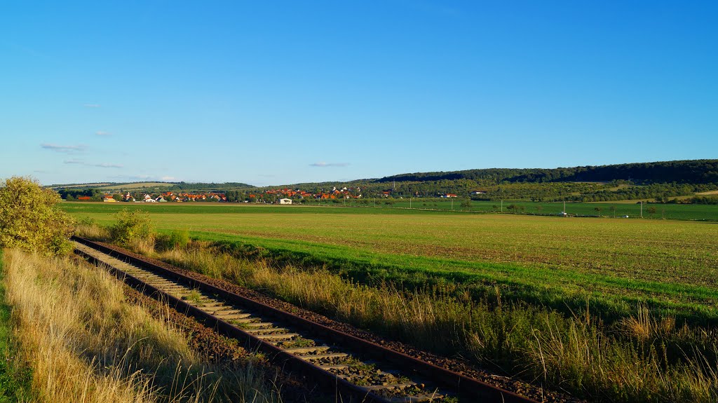 Von der alten Bahn zum Huy nach Dingelstedt by HarryAusdemharz