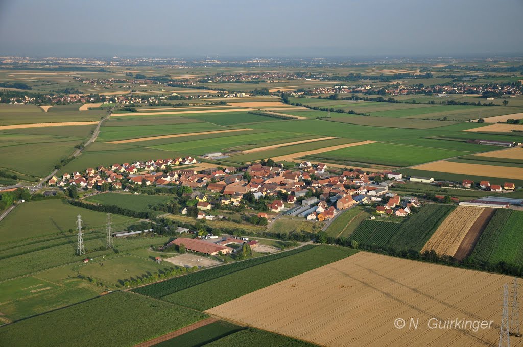 Fessenheim-le-Bas by N. Guirkinger