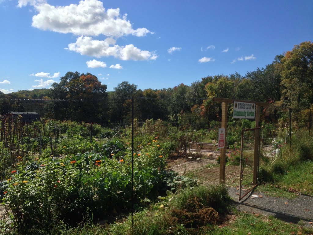 Brookfield Lions Club Community Garden by rogerking