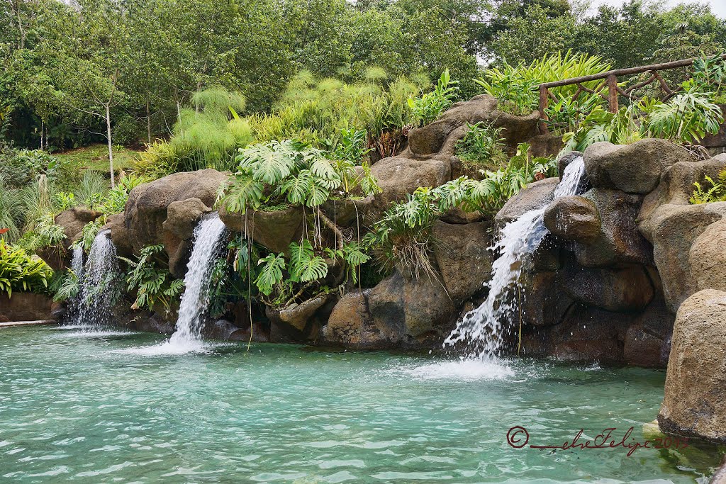 La Paz Waterfall Gardens, Alajuela, Costa Rica-----------------------------------------------------------------------------------------------My email: artehuetar@gmail.com by Melsen Felipe