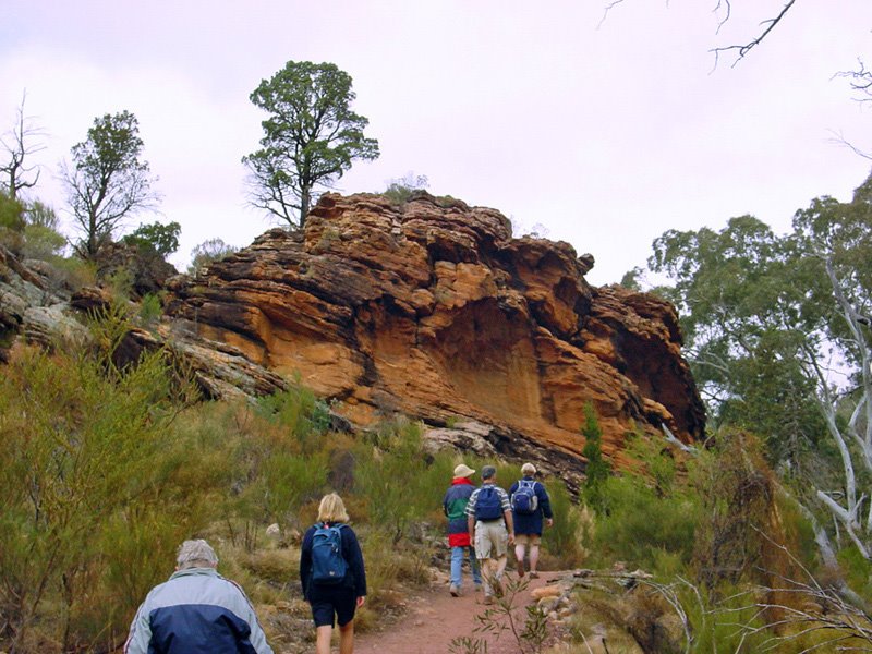 Flinders Range, Wilpena Pound Walking Trails by Banja-Frans Mulder