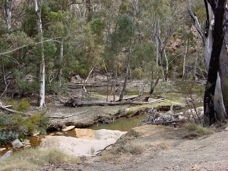 Flinders Range, Wilpena Pound Walking Trail by Banja-Frans Mulder