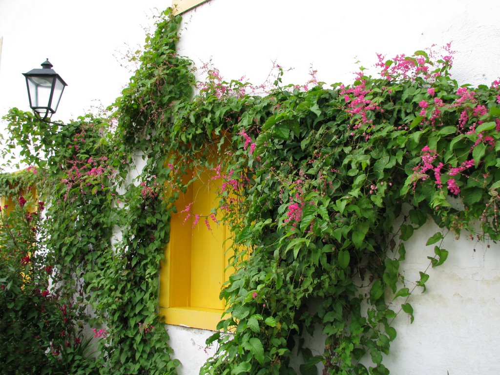 Hidden window in Paraty by Adriana Monteiro