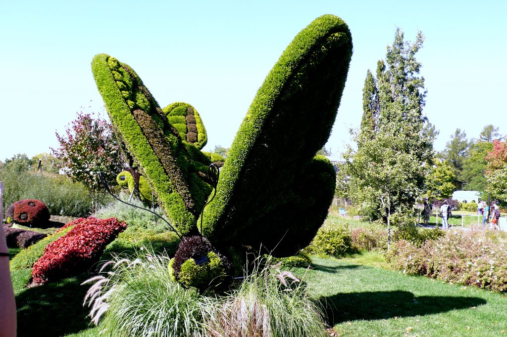 Mosaïcultures du Jardin Botanique de Montréal, 28-09-2013 by serzola