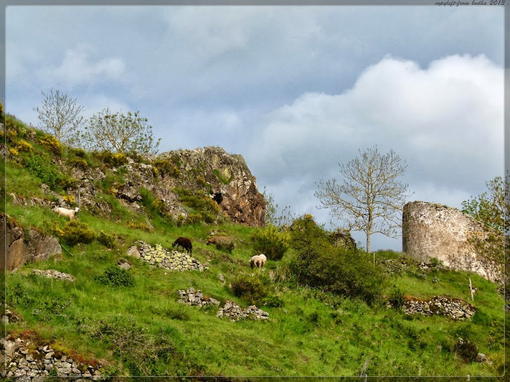 France-Auvergne-sur le GR 70- village de Goudet - scène pastorale by bodha