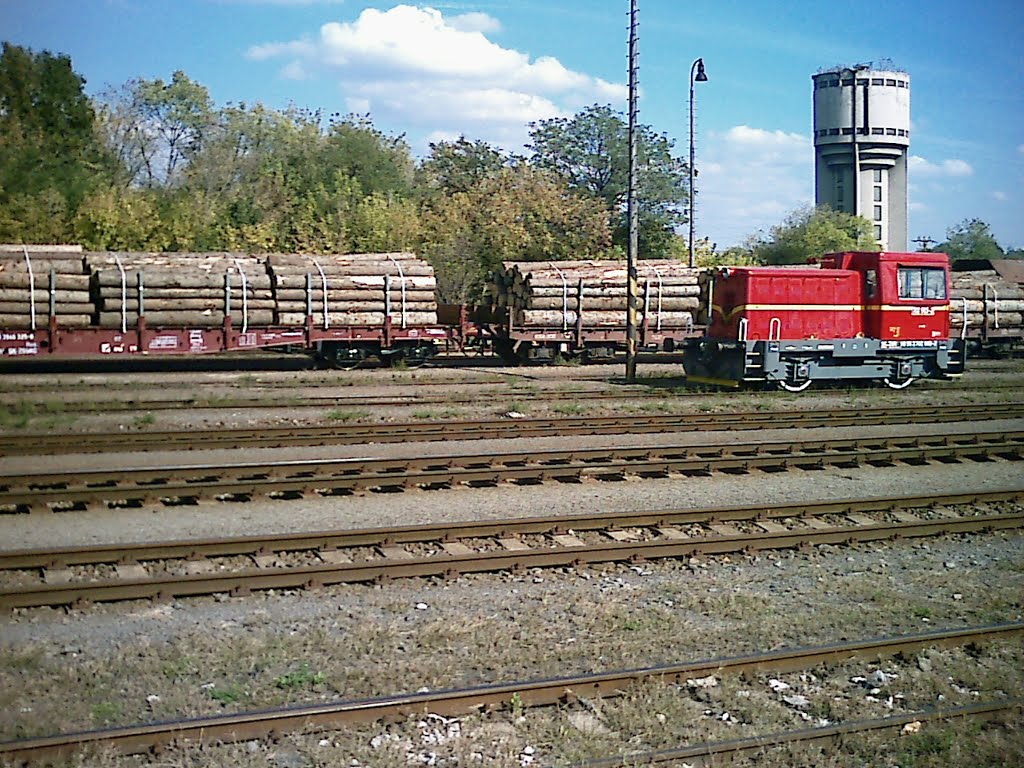 Pomočná Červenka dieslová lokomotíva v Lučenci / Robin auxiliary diesel locomotive in Lučenci by Denis Ondriškovič