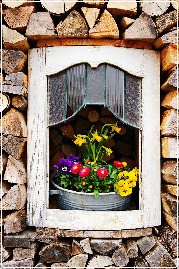 Langenargen - "Holzfenster" - ein in einen Holzstapel eingesetztes Fenster mit Frühlingsblumen by nirak