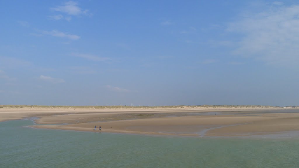 Rye Harbour Nature Reserve by shariain