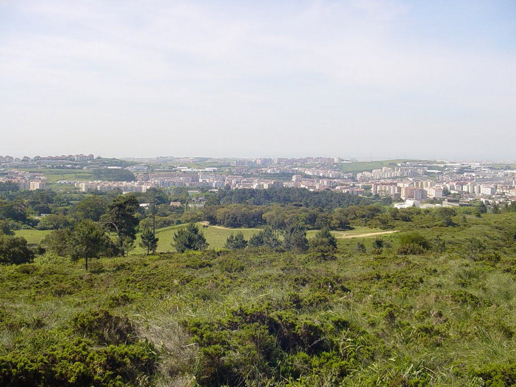 Carregueira (vista sul) by nunompedro