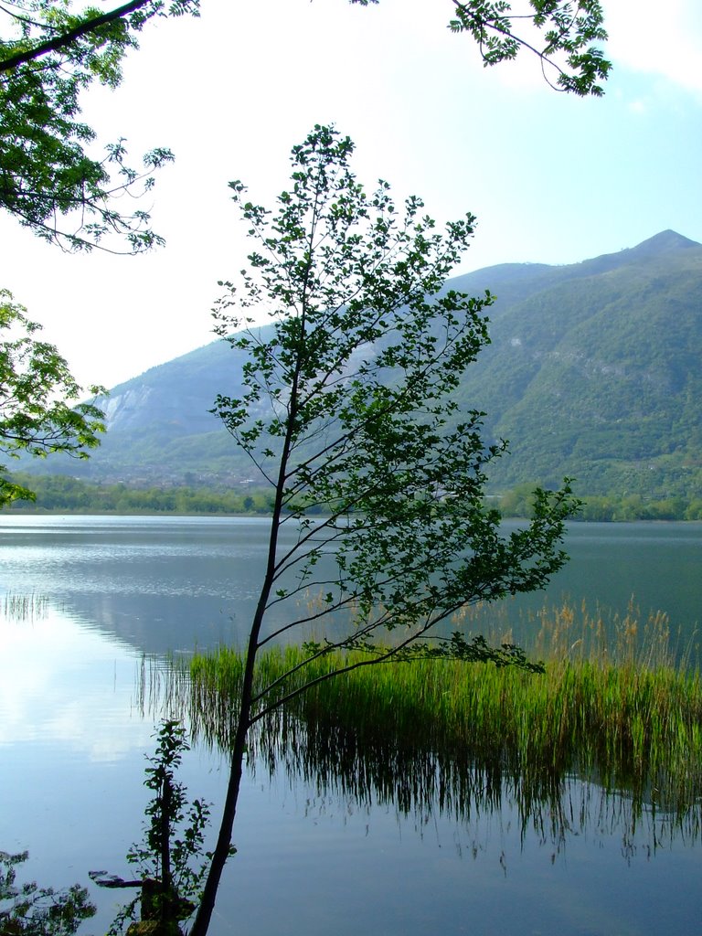 Lago di Annone by msroselli