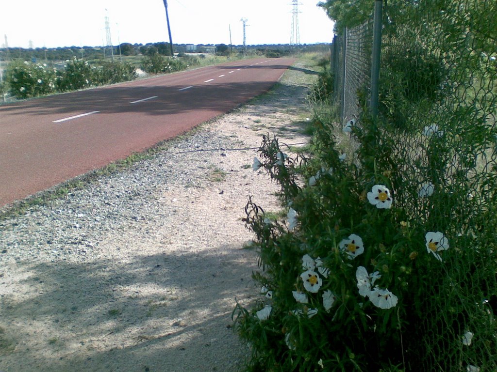 Ruta ciclista Madrid - Colmenar - Soto (8) by Fernandisko