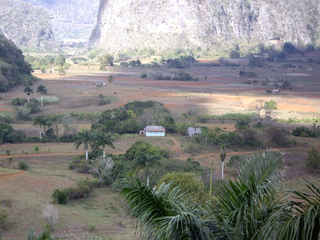 Mogotes de Pinal del Rio by ely Arroyo S.