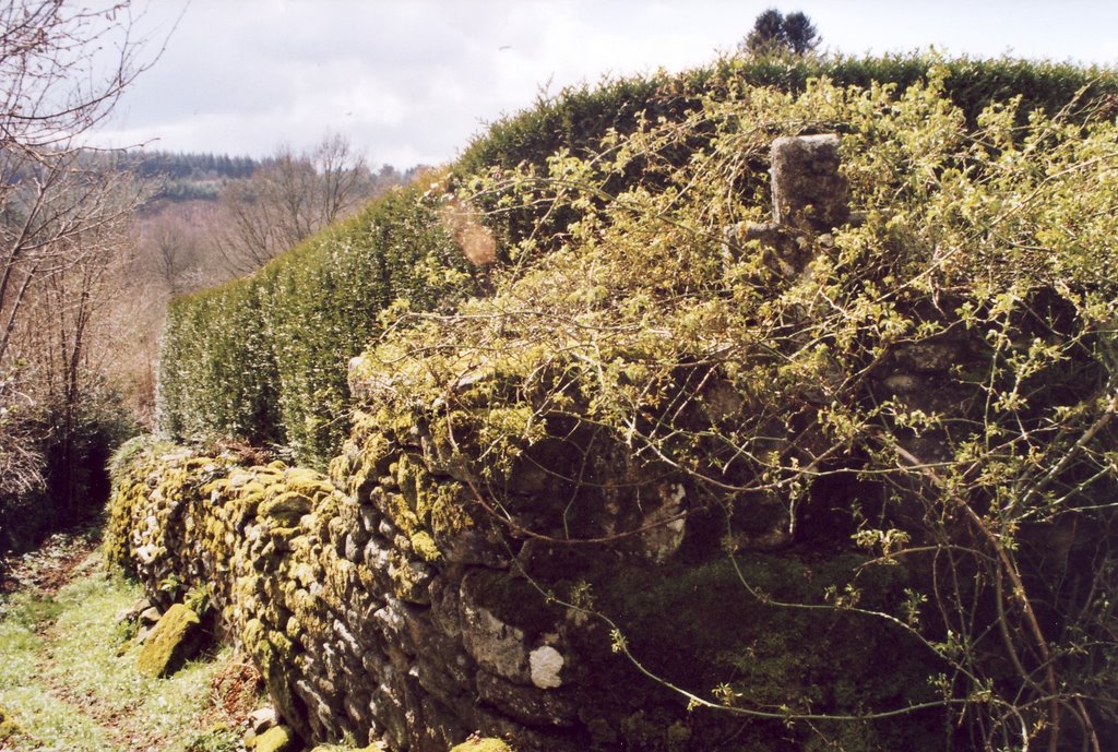 CROIX A QUENOUILLE by Frédéric Adant