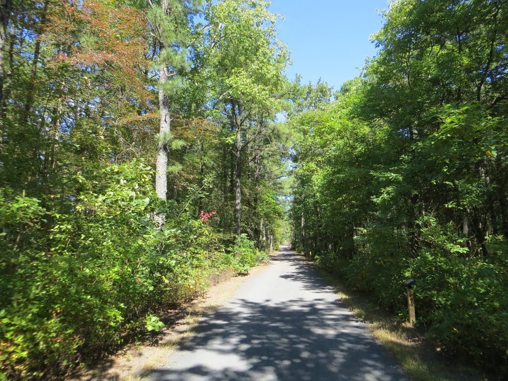 Barnegat Branch Trail by Adam Elmquist