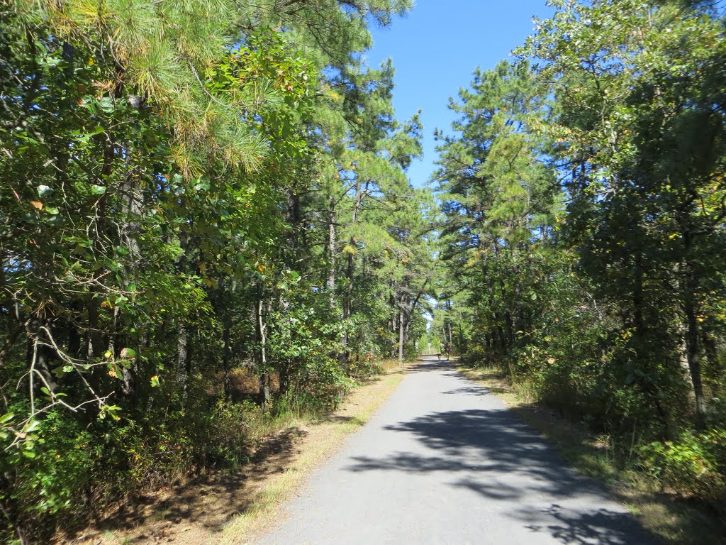 Barnegat Branch Trail by Adam Elmquist