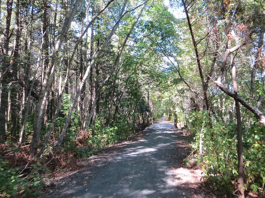 Barnegat Branch Trail by Adam Elmquist