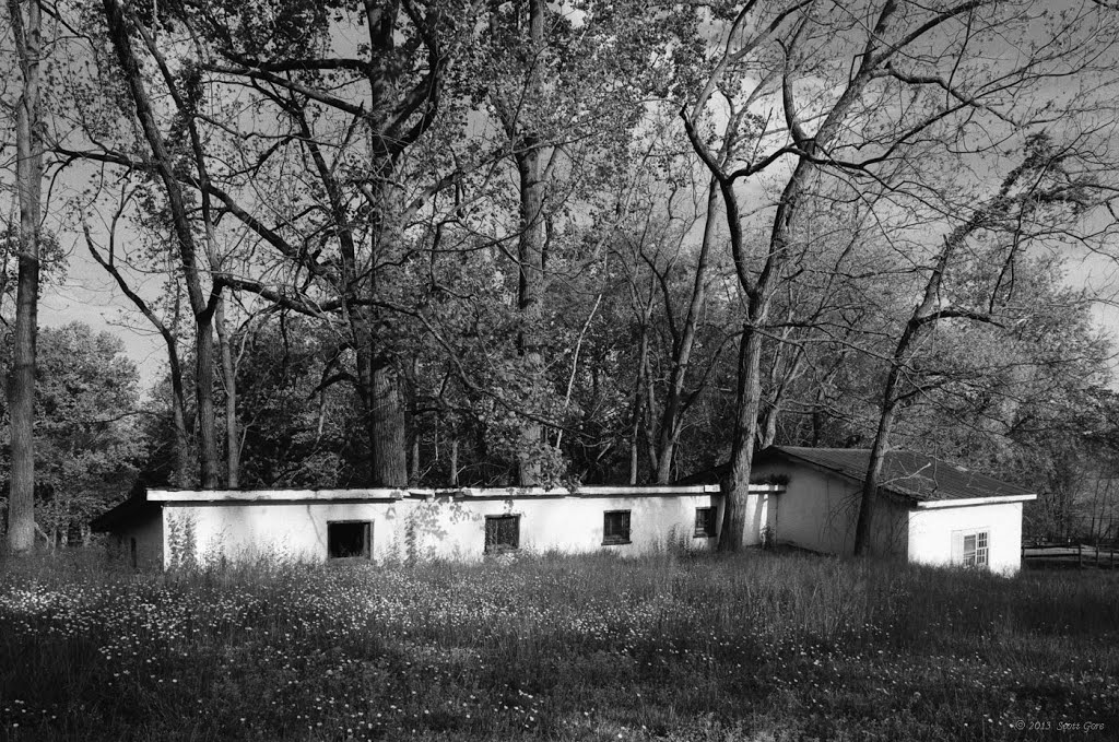 The Feed Barn, Newark Delaware by Scott Gore