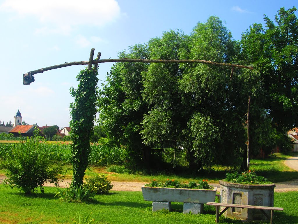 Virágos kút a falu mellett - Well of flowers near the village by Magyar Z