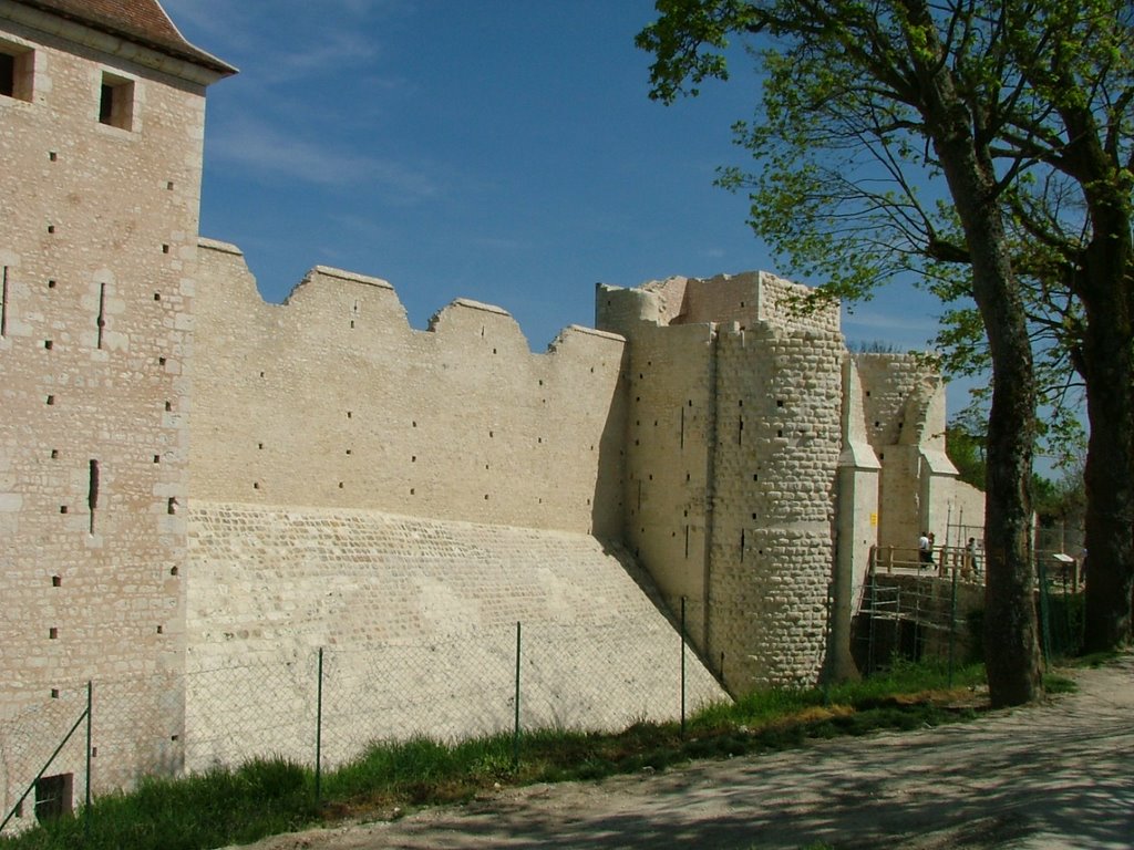 Remparts de Provins by rv8427