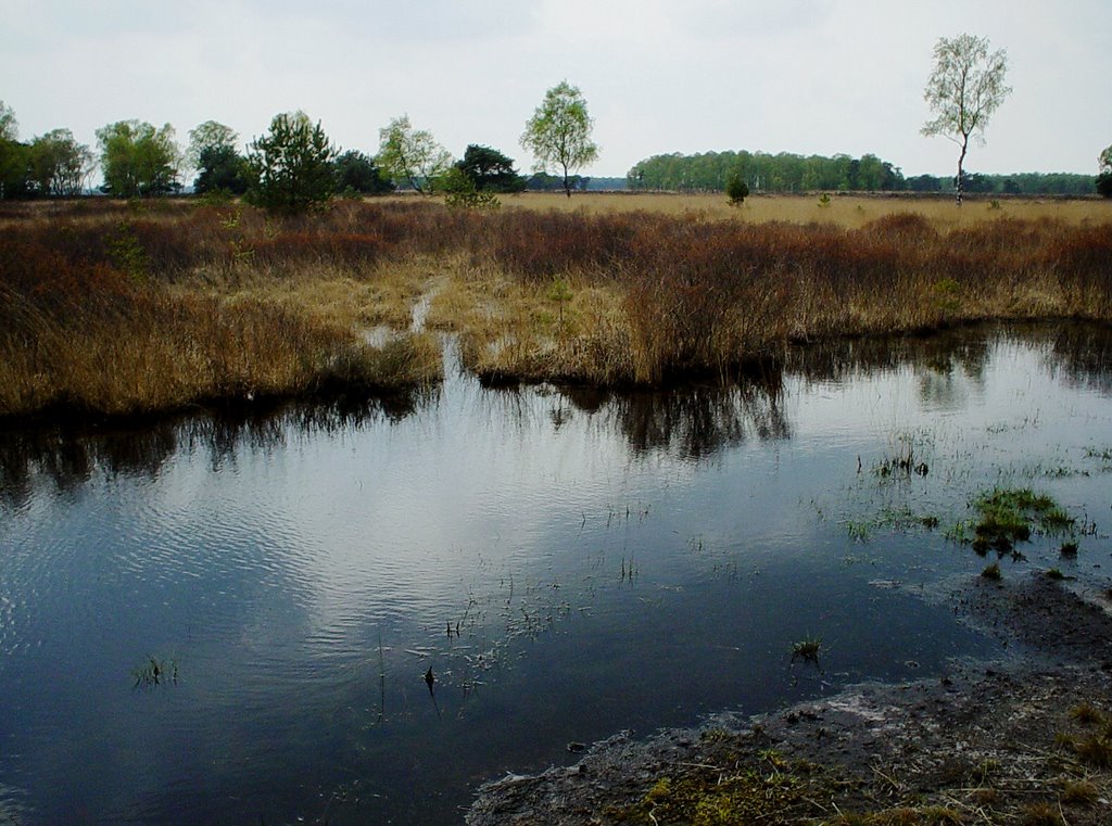 Strabrechtse en Lieropse Heide by uaf