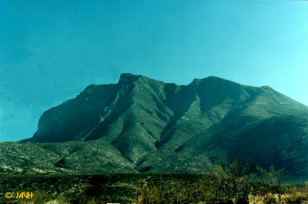 La India, Mapimí, Durango, México. by Jorge Alberto Vega