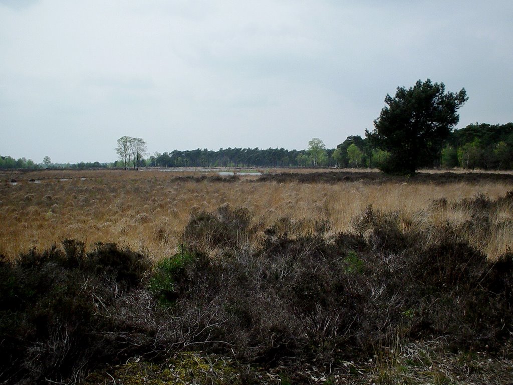 Strabrechtse en Lieropse Heide by uaf