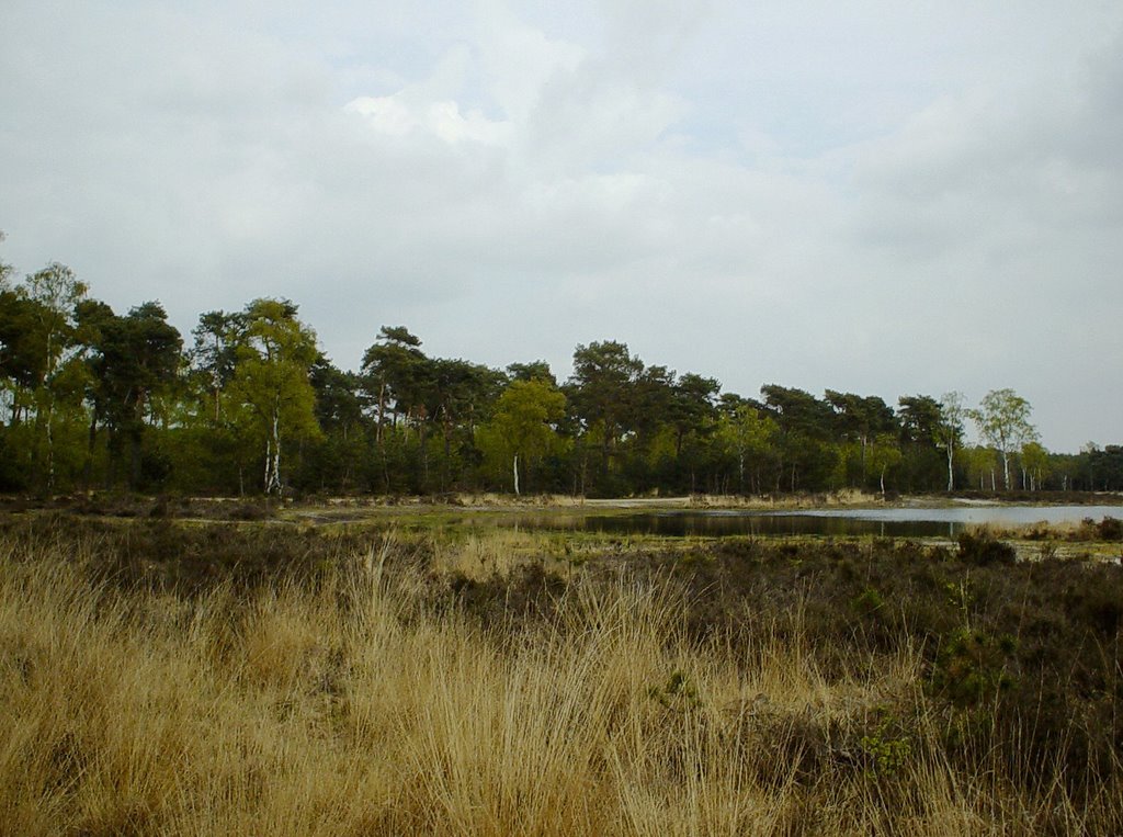 Strabrechtse en Lieropse Heide by uaf