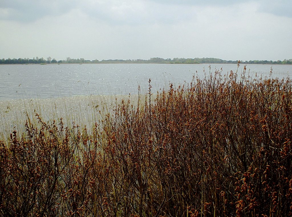 Beuven, Strabrechtse en Lieropse Heide by uaf