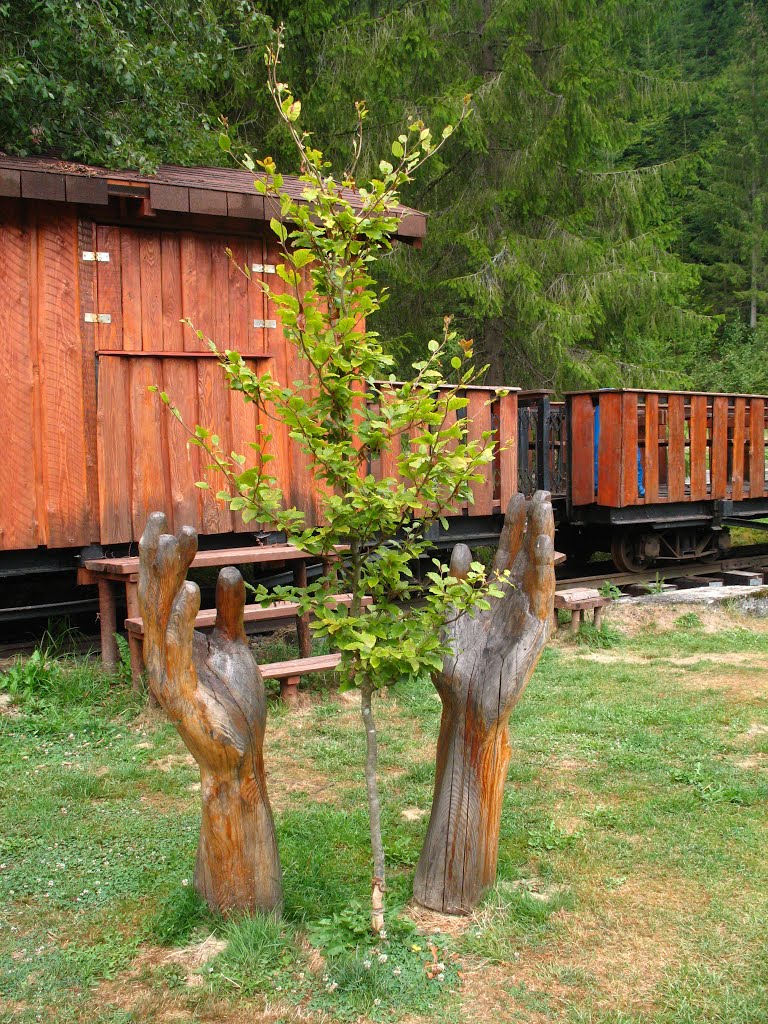 Strom života / Tree of life by Maroš Kerek