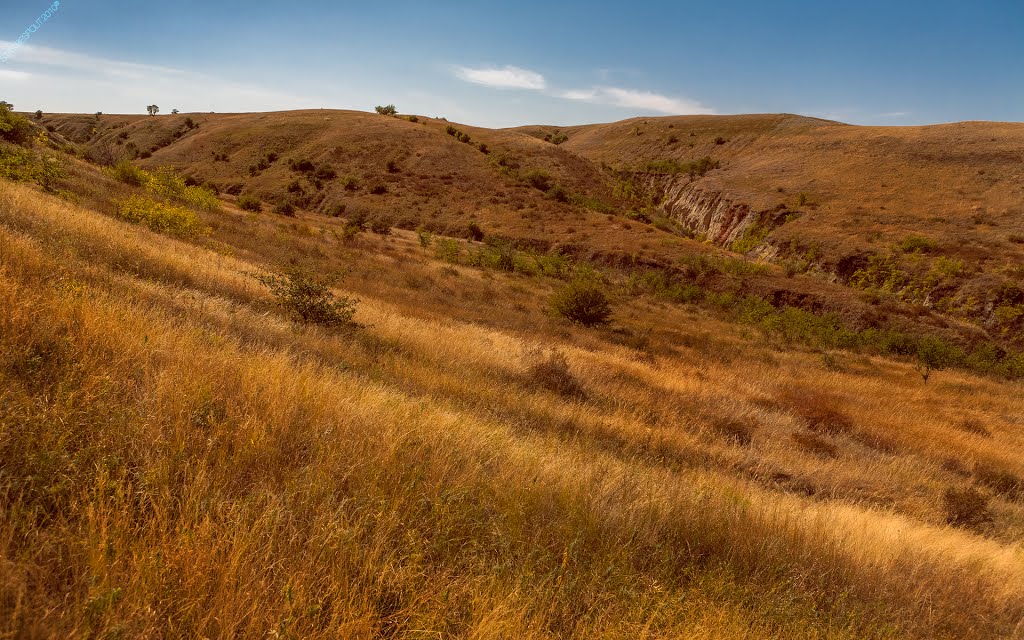 Autumn day at Don river \ Russia by Stas Bespolit