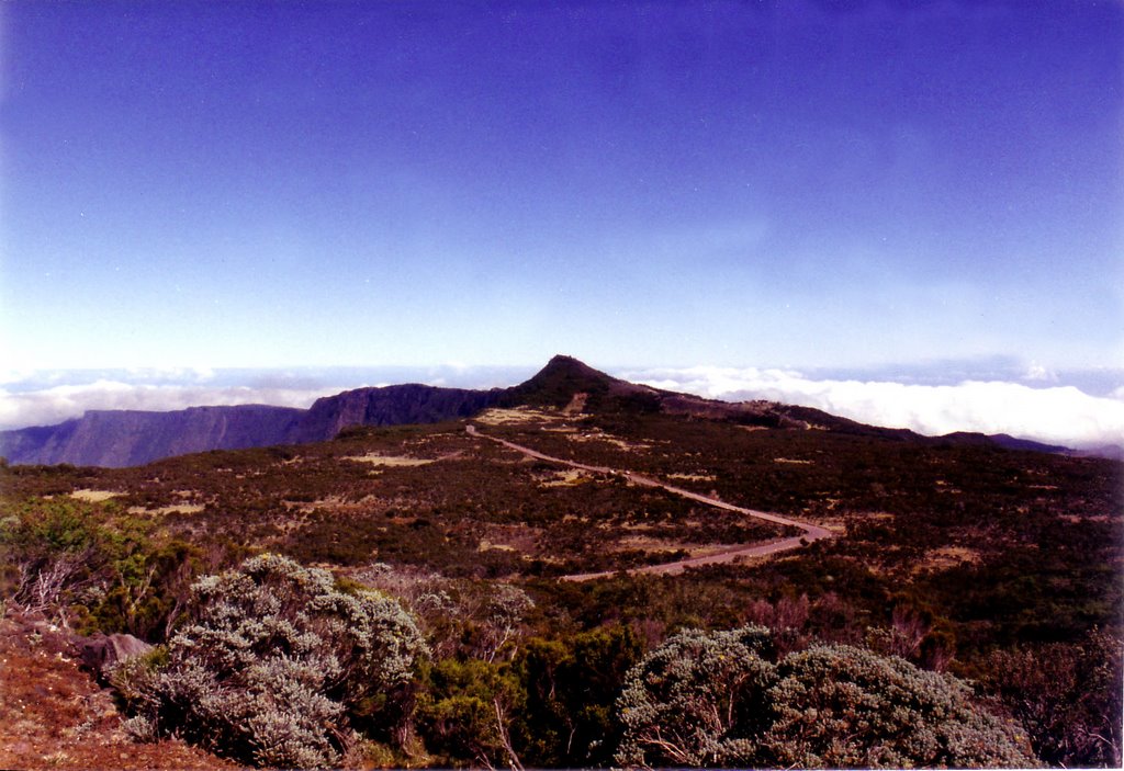 Route du Volcan - Vue sur le Nez de Boeuf by JLH974