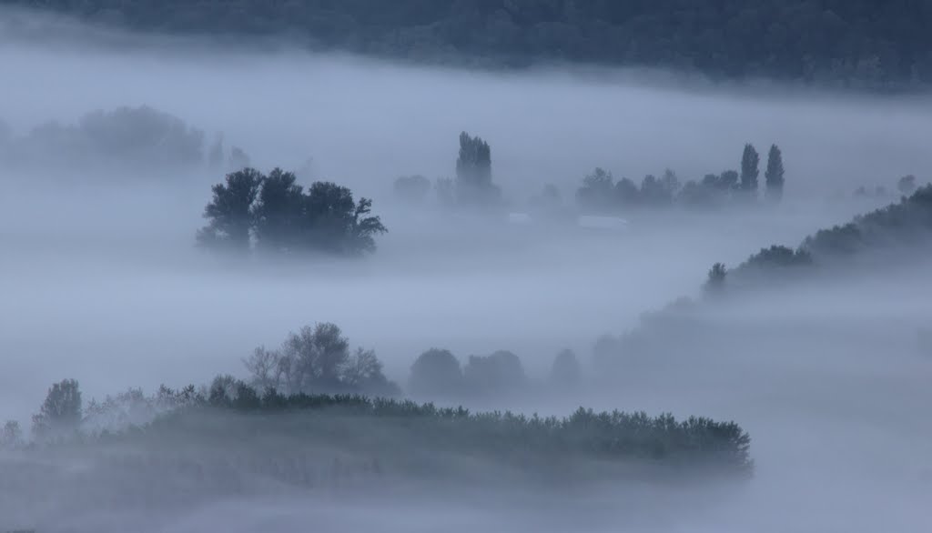 Brume matinale by Nicolas Mareau