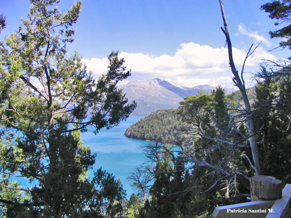 Mirador en lago Mascardì., Parque Nacional Nahuel Huapi, Rìo Negro, Argentina by Patricia Santini