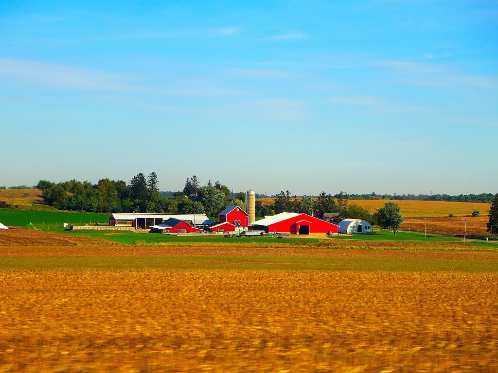 Northern Dane County Farm by Corey Coyle