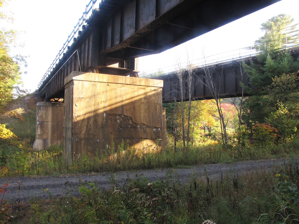 A meeting of three titans! The CP and CN trans-continental railways almost meet here and both cross the former Ottawa, Arnprior and Parry Sound Railway (OA&PS) railway bed, now the Rose Point Recreational Trail. The OA&PS railway was the bussiest railway in the world in 1910 with a freight train every 20 minutes from its docks on Georgian Bay to Montreal. by Steve Manders