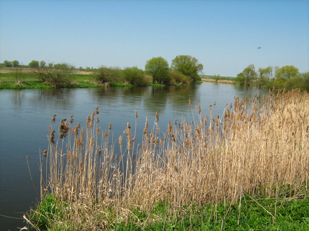 Nida koło Zakrzowa by wieslaw@polak.net.pl