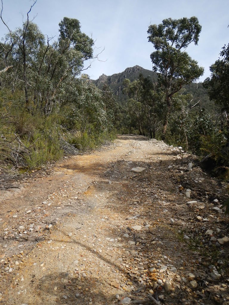 On the kalymna track by zhunt