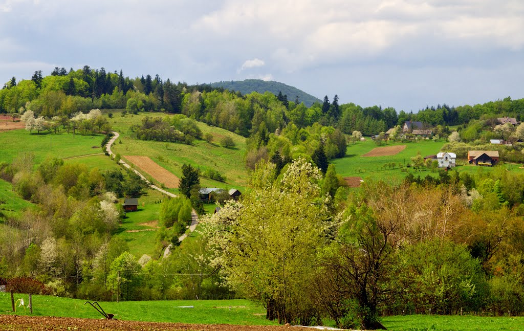 Oderne, Beskid Niski by mariwozn