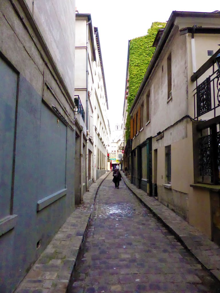 Paris Laneway, Passage du Chantier, Quinze-Vingts, Paris, France by Stuart Smith