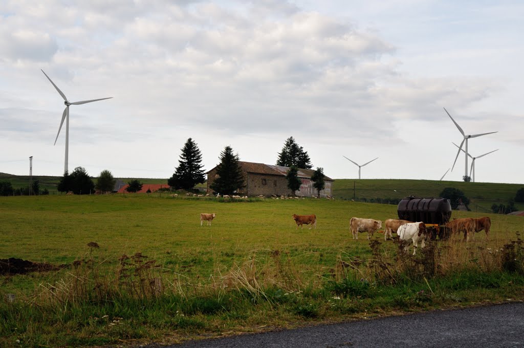 Vous entrez dans la Parc Naturel Régional Eolien d'Auvergne. La Fageole. by Tireman.